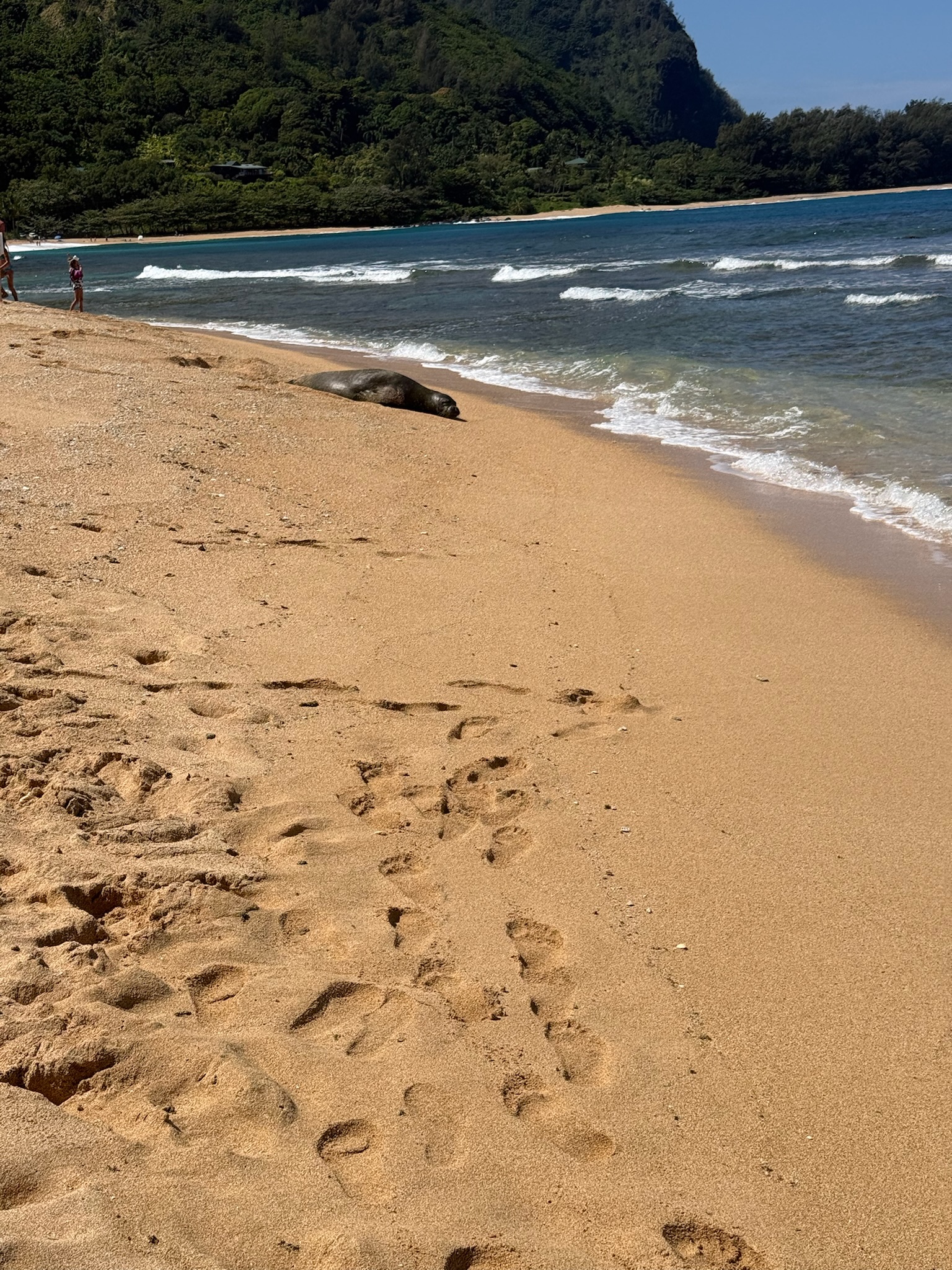 Kauai Princville, Kauai